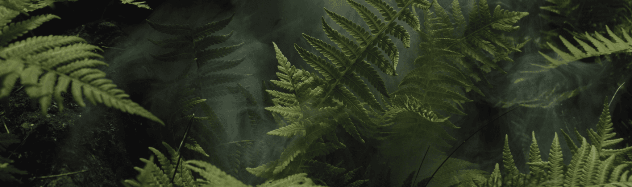 Botella térmica Flow Navy